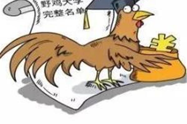 中国野鸡大学