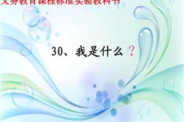 语文是什么