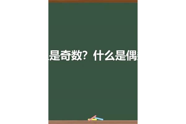 单数是什么意思