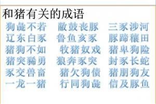 带九的祝福成语
