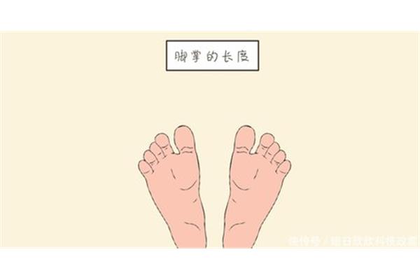 大脚丫小脚丫