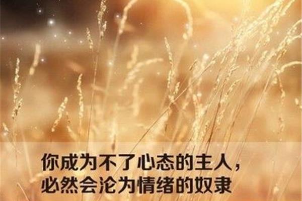 心情说说感悟生活