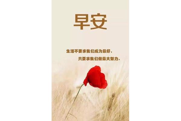 舒心的早安心语