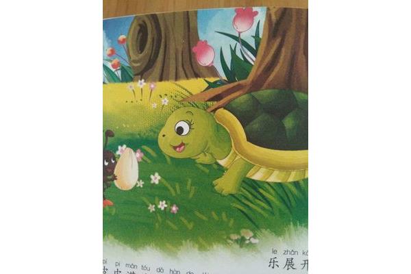 小乌龟住在哪里