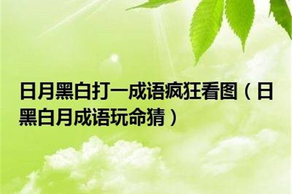 日黑白月打一成语
