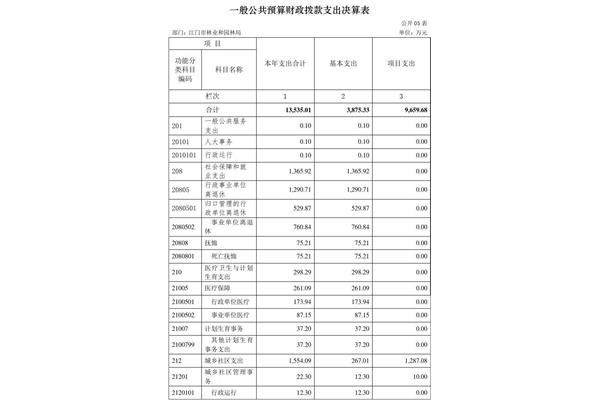一般公共预算支出