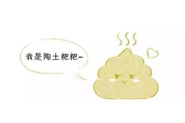 陶土样大便