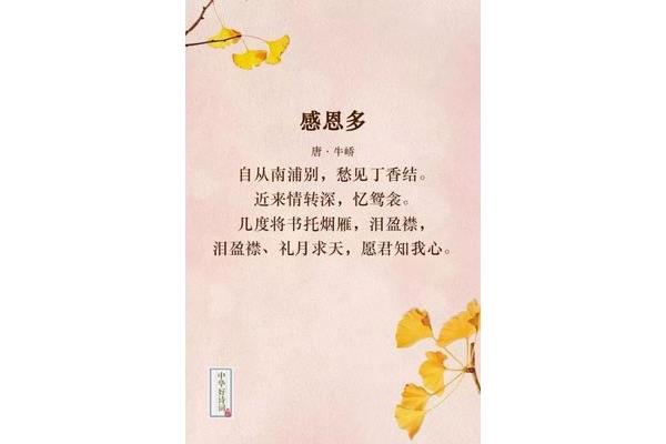 感谢的诗句