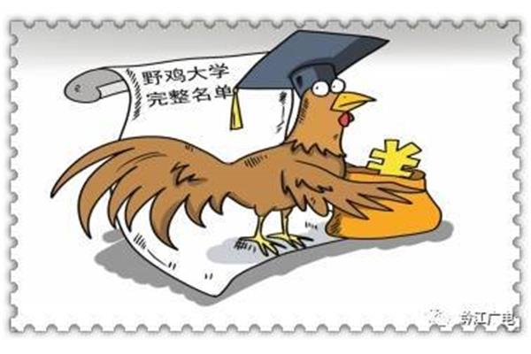 中国野鸡大学