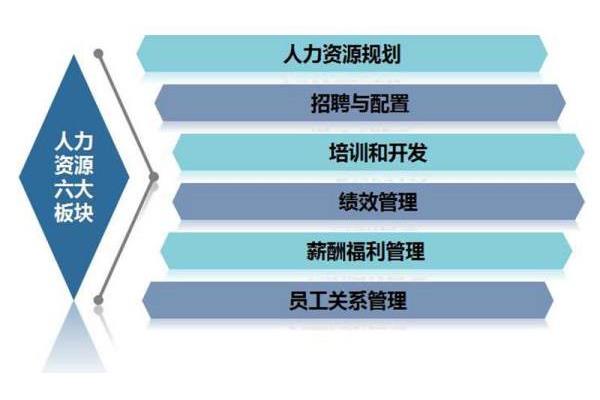 个人能力有哪些