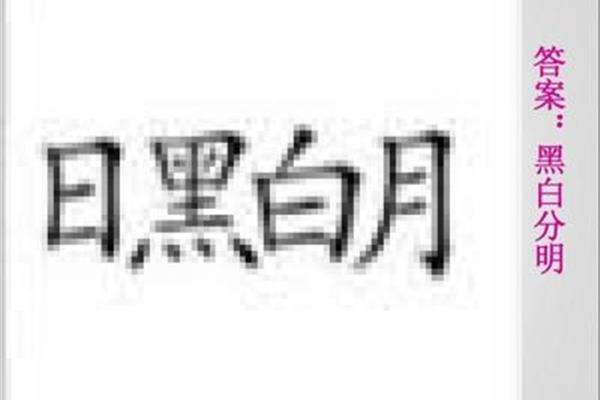 日黑白月打一成语