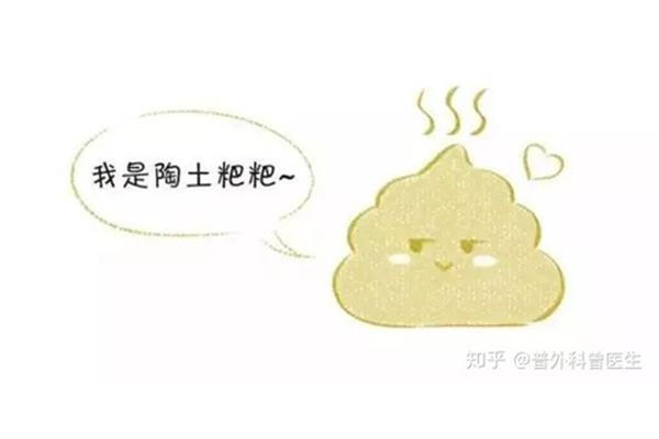 陶土样大便