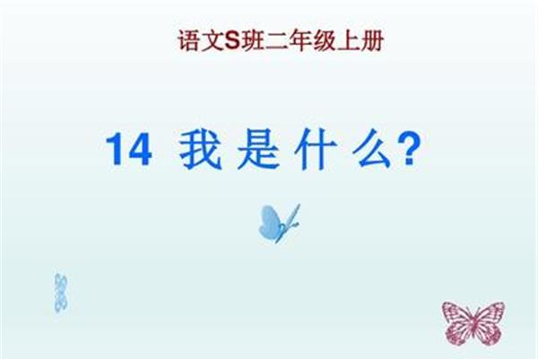语文是什么