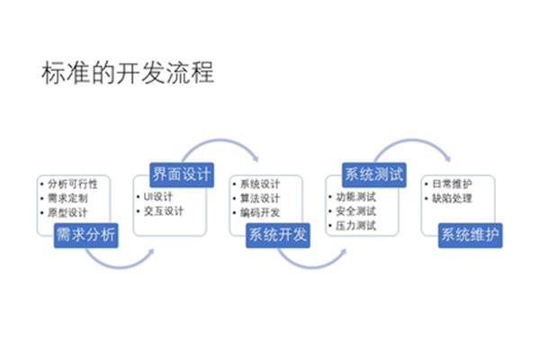 软件开发服务