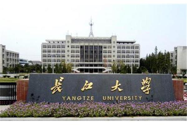中国野鸡大学