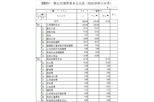 一般公共预算支出