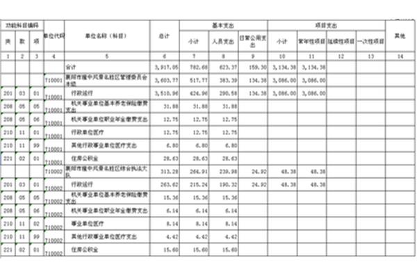一般公共预算支出