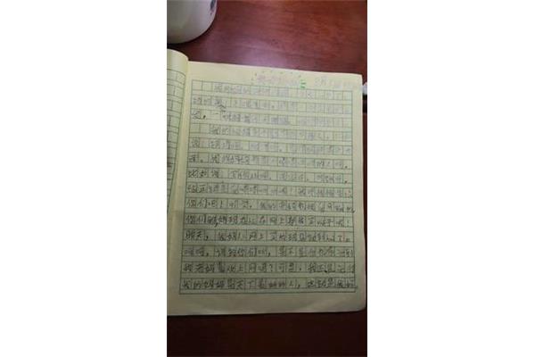 有趣的人作文
