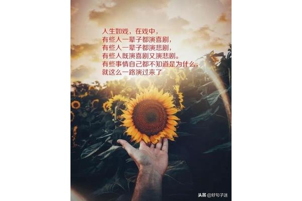 心情说说感悟生活