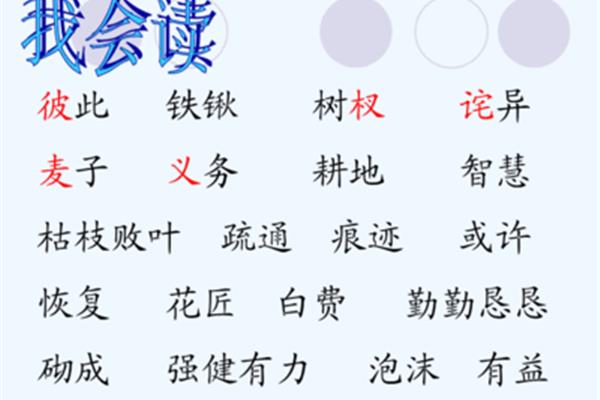 语文是什么