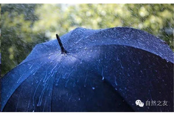 小雨什么声音