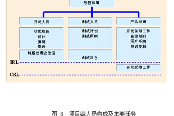软件开发服务