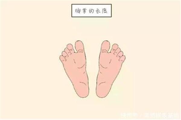 大脚丫小脚丫