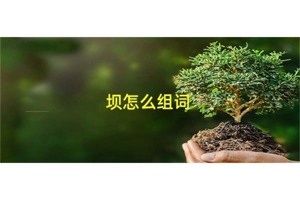 坝怎么组词