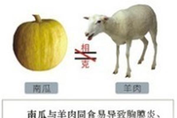 羊肉的相克大全