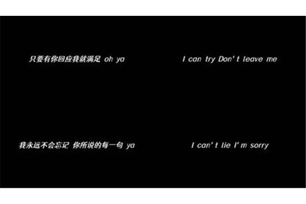 就是爱你歌词