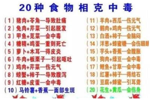 羊肉的相克大全