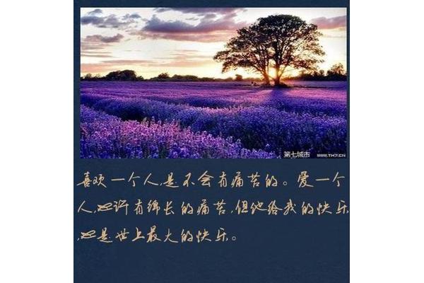 爱一个人的说说