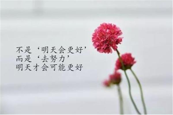 下午好祝福语