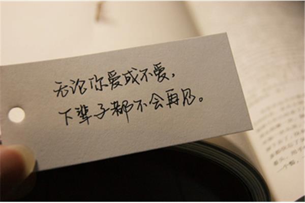 爱一个人的说说