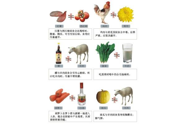 羊肉的相克大全