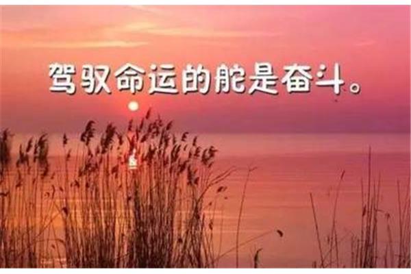 珍惜亲情的句子