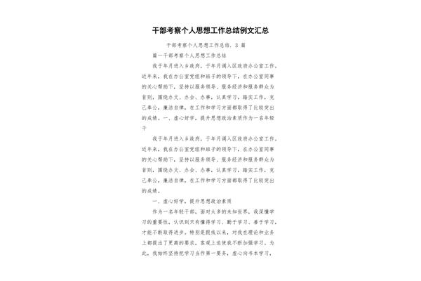 干部个人工作总结