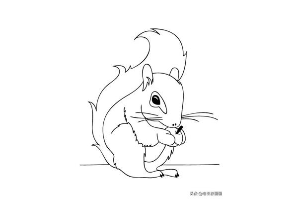 动物画画大全简单