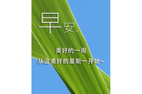 优秀自律的句子
