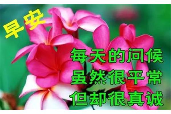 下午好祝福语