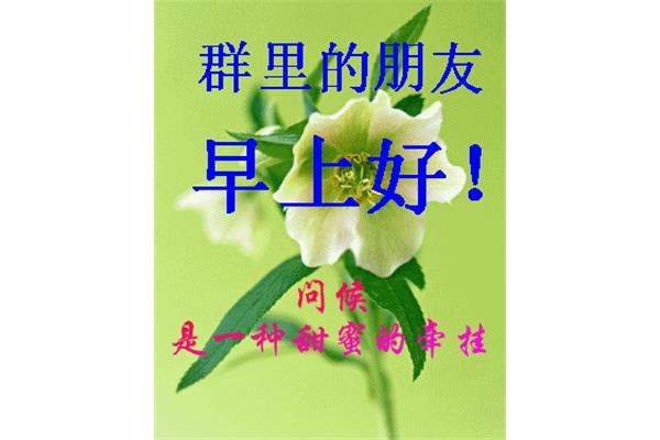 下午好祝福语