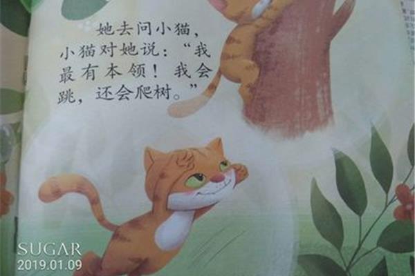小鸟学本领