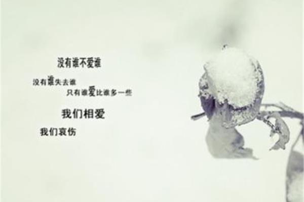 爱一个人的说说