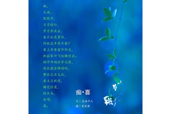 岁月的诗句