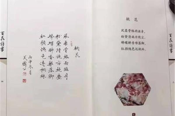 岁月的诗句