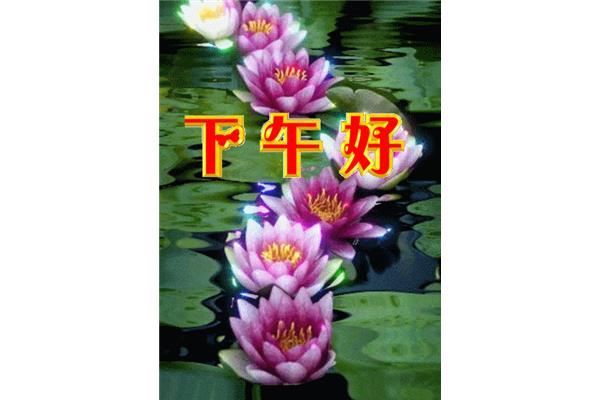 下午好祝福语
