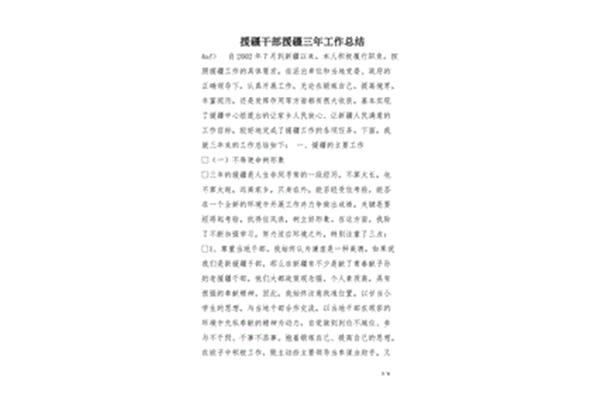 援疆工作总结