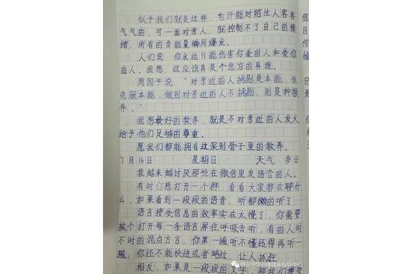 高中日记100字