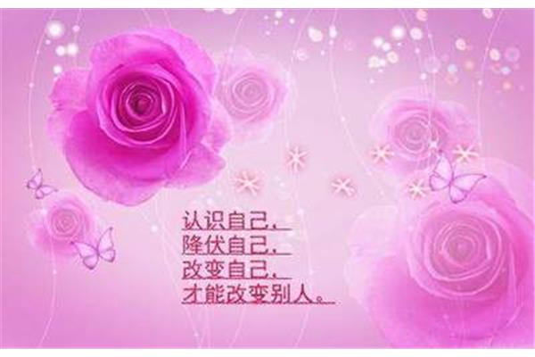 减肥唯美句子