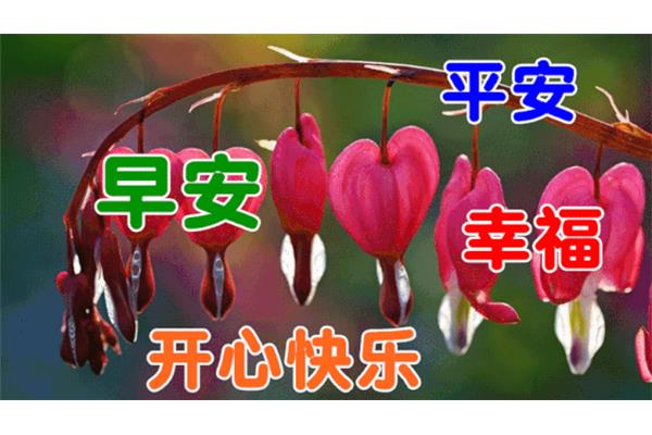 下午好祝福语